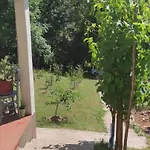 Montenegrinabih, Petrovici, Istocno * サラエヴォ