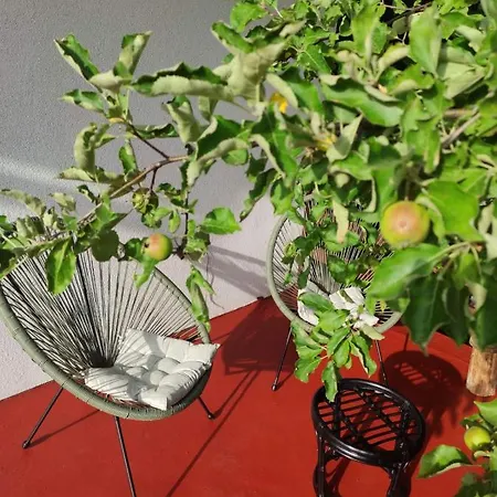 Montenegrinabih, Petrovici, Istocno Sarajevo