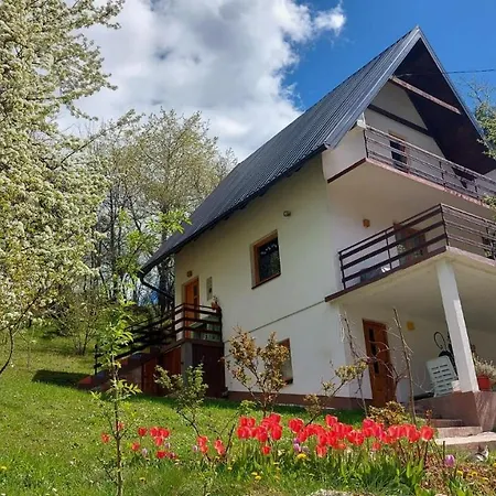 Holiday home Montenegrinabih, Petrovici, Istocno *