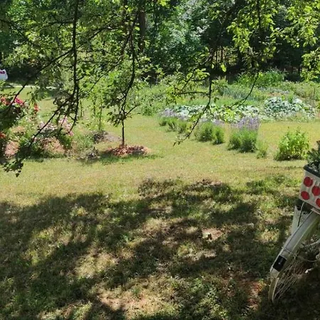 Montenegrinabih, Petrovici, Istocno Vikendica Sarajevo