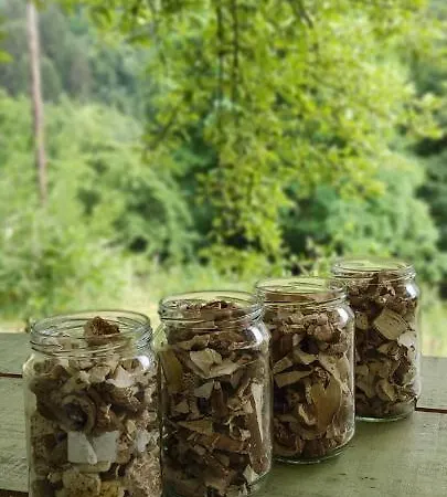 Montenegrinabih, Petrovici, Istocno Vikendica *