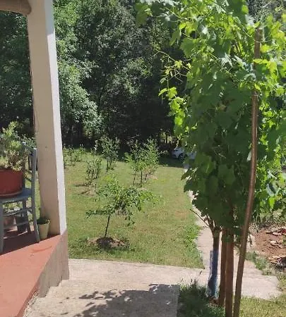 Montenegrinabih, Petrovici, Istocno * 塞拉耶佛