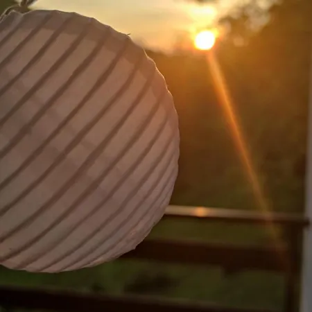 Vikendica Montenegrinabih, Petrovici, Istocno *