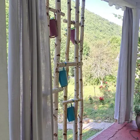 Montenegrinabih, Petrovici, Istocno Sarajevo