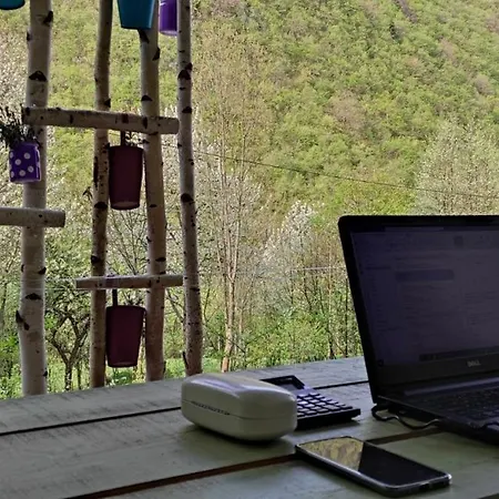 Montenegrinabih, Petrovici, Istocno