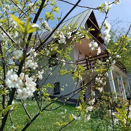 Montenegrinabih, Petrovici, Istocno 度假居