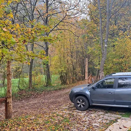 Vikendica Montenegrinabih, Petrovici, Istocno *