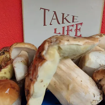 度假居 Montenegrinabih, Petrovici, Istocno