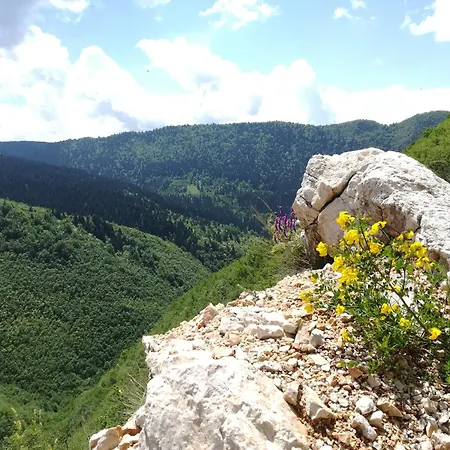 Montenegrinabih, Petrovici, Istocno 度假居 塞拉耶佛