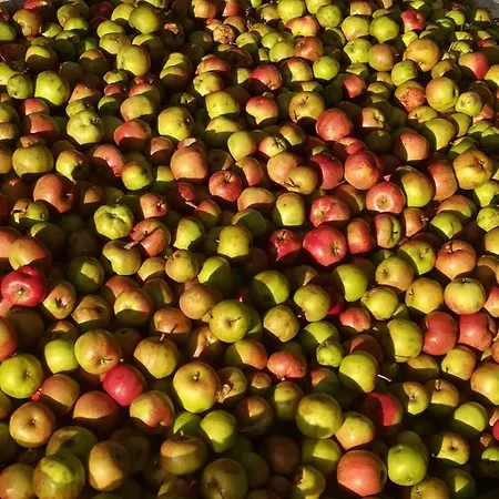 Vikendica Montenegrinabih, Petrovici, Istocno Sarajevo