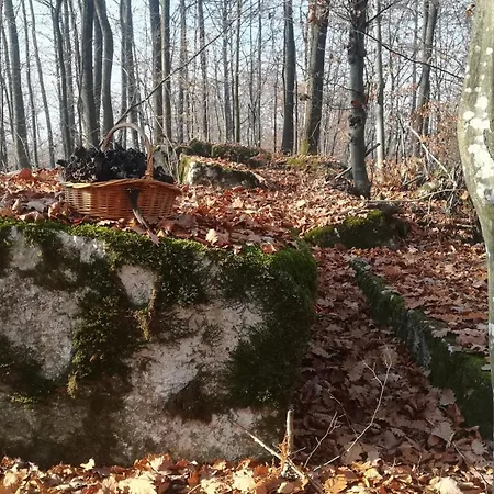 Montenegrinabih, Petrovici, Istocno * Sarajevo