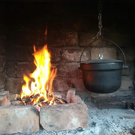 Montenegrinabih, Petrovici, Istocno