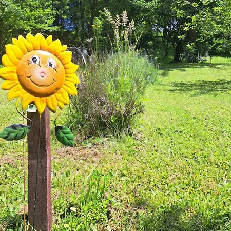 Vikendica Montenegrinabih, Petrovici, Istocno