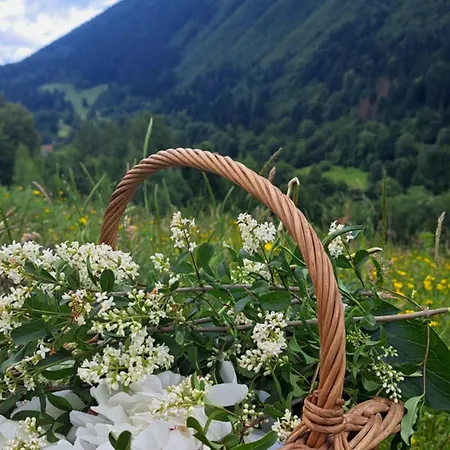 Montenegrinabih, Petrovici, Istocno 塞拉耶佛