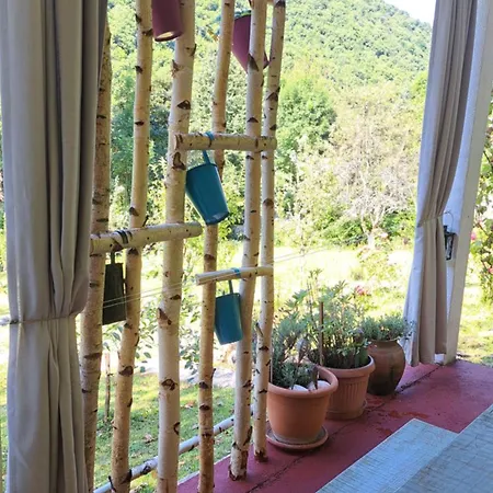 Montenegrinabih, Petrovici, Istocno * Sarajevo