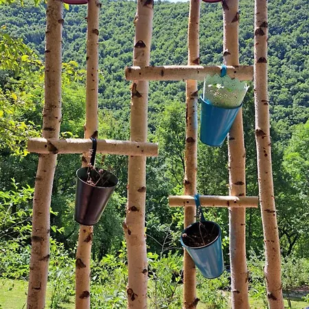 Montenegrinabih, Petrovici, Istocno