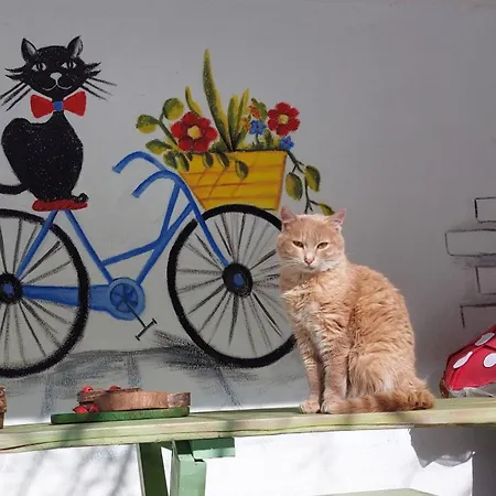 Montenegrinabih, Petrovici, Istocno * Sarajevo