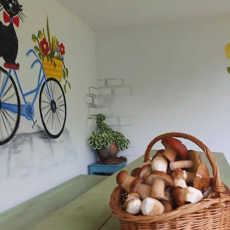 度假居 Montenegrinabih, Petrovici, Istocno