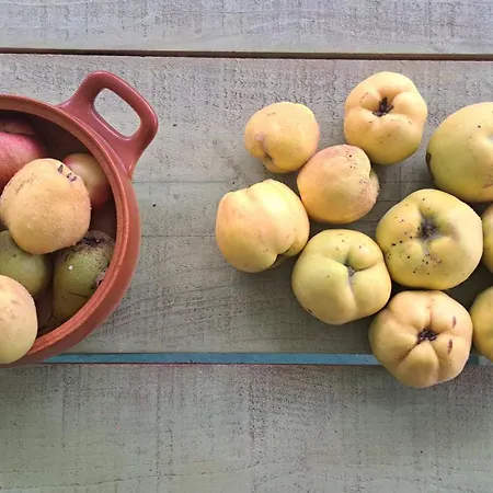 Montenegrinabih, Petrovici, Istocno Vikendica *