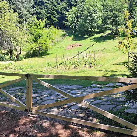 Montenegrinabih, Petrovici, Istocno *