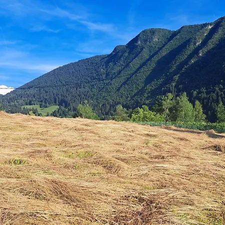 Montenegrinabih, Petrovici, Istocno Vikendica