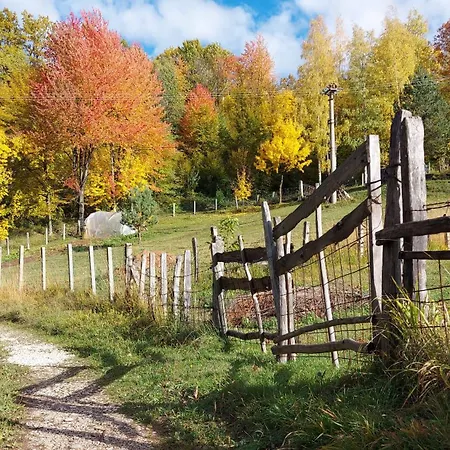 度假居 Montenegrinabih, Petrovici, Istocno 塞拉耶佛