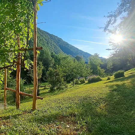 Montenegrinabih, Petrovici, Istocno